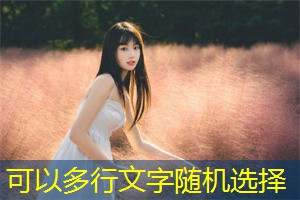 The interaction between natural disasters and the economic development of Shanghai